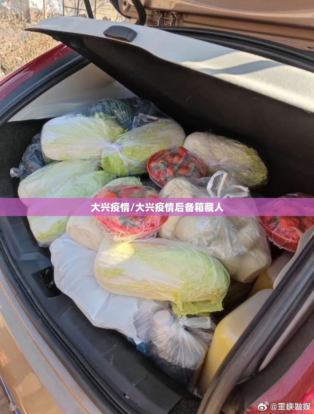 大兴疫情/大兴疫情后备箱藏人 大兴疫情/大兴疫情后备箱藏人