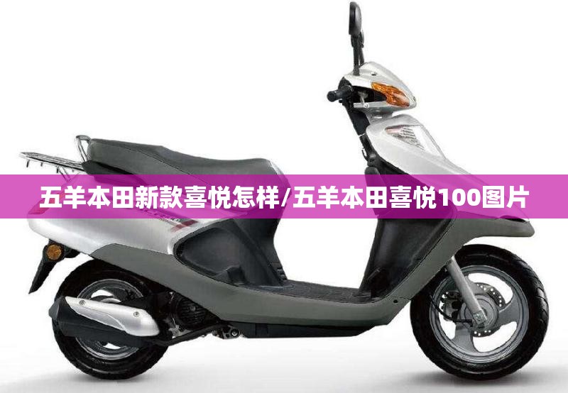 五羊本田新款喜悦怎样/五羊本田喜悦100图片 五羊本田新款喜悦怎样/五羊本田喜悦100图片