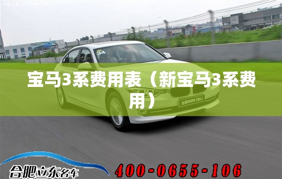 宝马3系费用表(新宝马3系费用) 宝马3系费用表(新宝马3系费用)