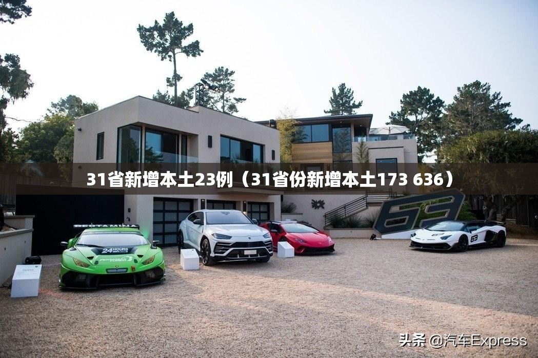 31省新增本土23例(31省份新增本土173 636) 31省新增本土23例(31省份新增本土173 636)