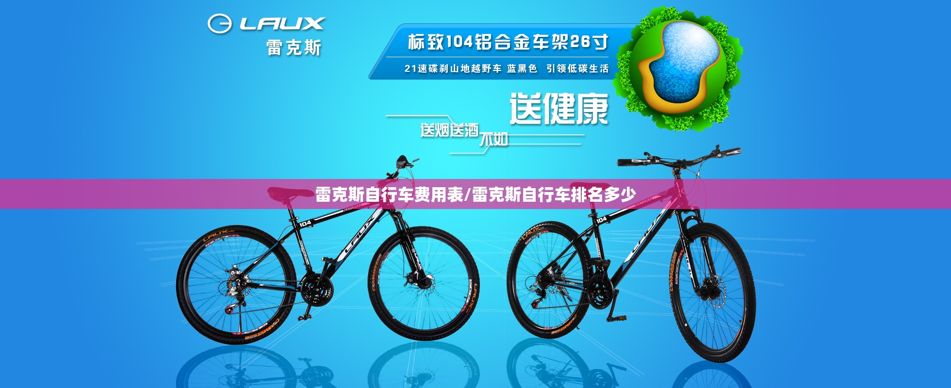 雷克斯自行车费用表/雷克斯自行车排名多少