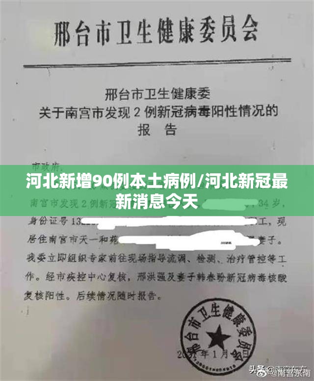 河北新增90例本土病例/河北新冠最新消息今天 河北新增90例本土病例/河北新冠最新消息今天