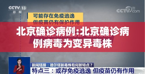 北京确诊病例:北京确诊病例病毒为变异毒株