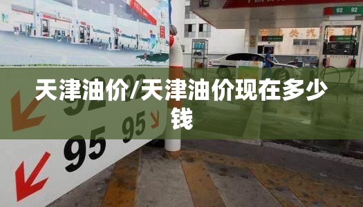 天津油价/天津油价现在多少钱 天津油价/天津油价现在多少钱