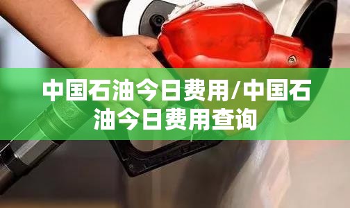 中国石油今日费用/中国石油今日费用查询 中国石油今日费用/中国石油今日费用查询