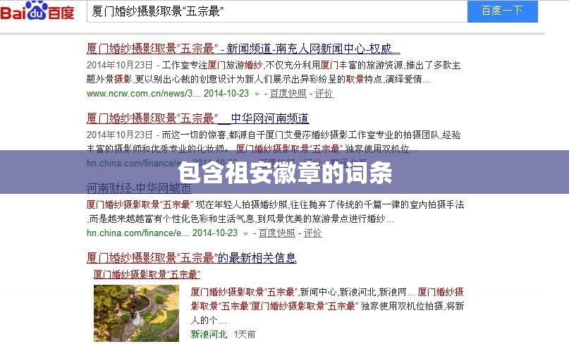 包含祖安徽章的词条