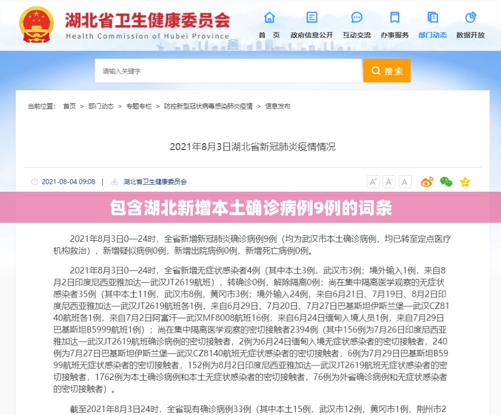 包含湖北新增本土确诊病例9例的词条