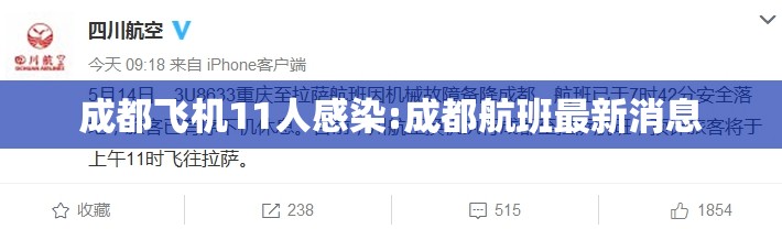 成都飞机11人感染:成都航班最新消息 成都飞机11人感染:成都航班最新消息