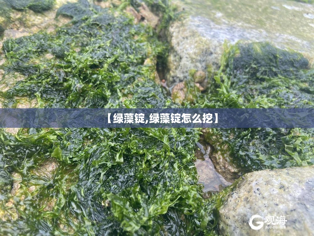 【绿藻锭,绿藻锭怎么挖】 【绿藻锭,绿藻锭怎么挖】