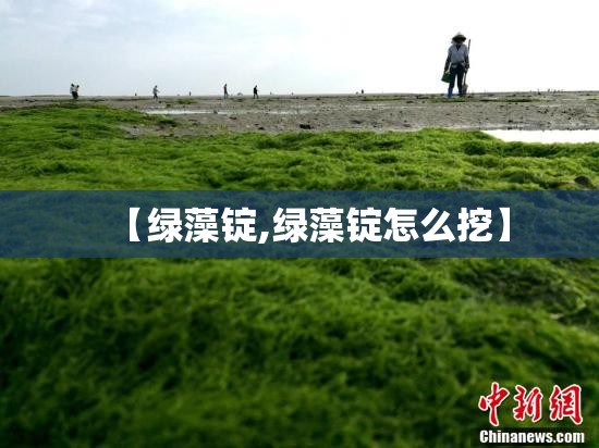 【绿藻锭,绿藻锭怎么挖】 【绿藻锭,绿藻锭怎么挖】