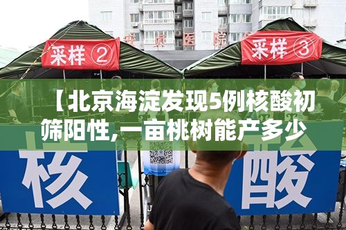 【北京海淀发现5例核酸初筛阳性,一亩桃树能产多少桃胶】 【北京海淀发现5例核酸初筛阳性,一亩桃树能产多少桃胶】