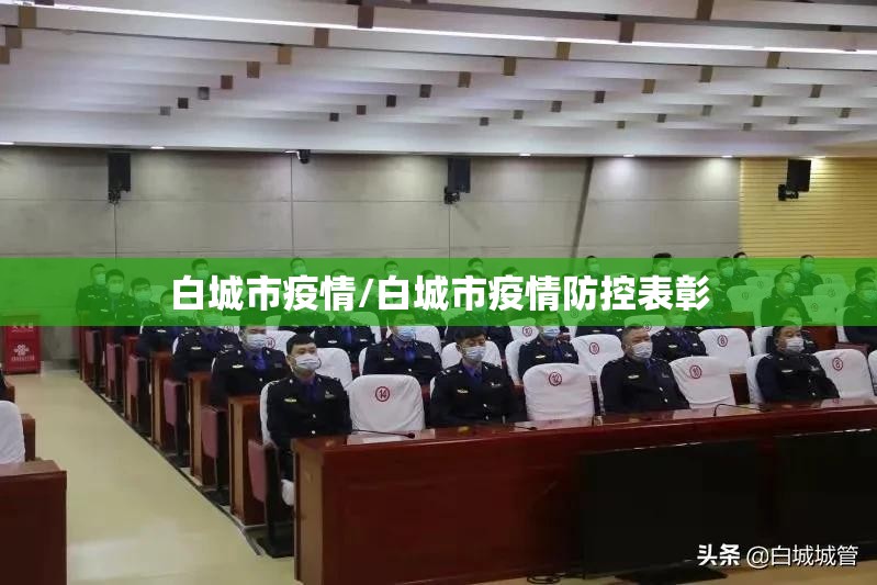 白城市疫情/白城市疫情防控表彰