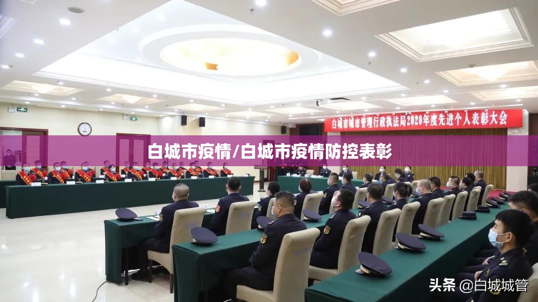 白城市疫情/白城市疫情防控表彰