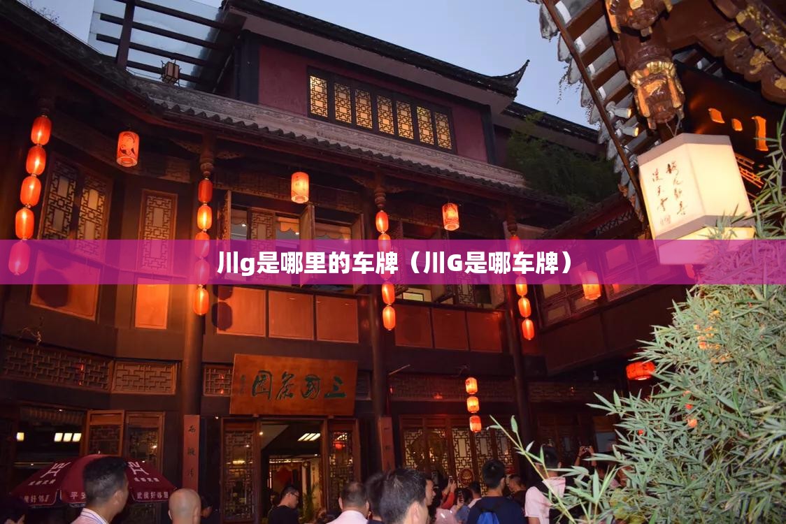 川g是哪里的车牌（川G是哪车牌）