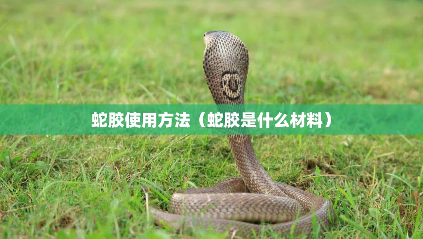 蛇胶使用方法(蛇胶是什么材料) 蛇胶使用方法(蛇胶是什么材料)