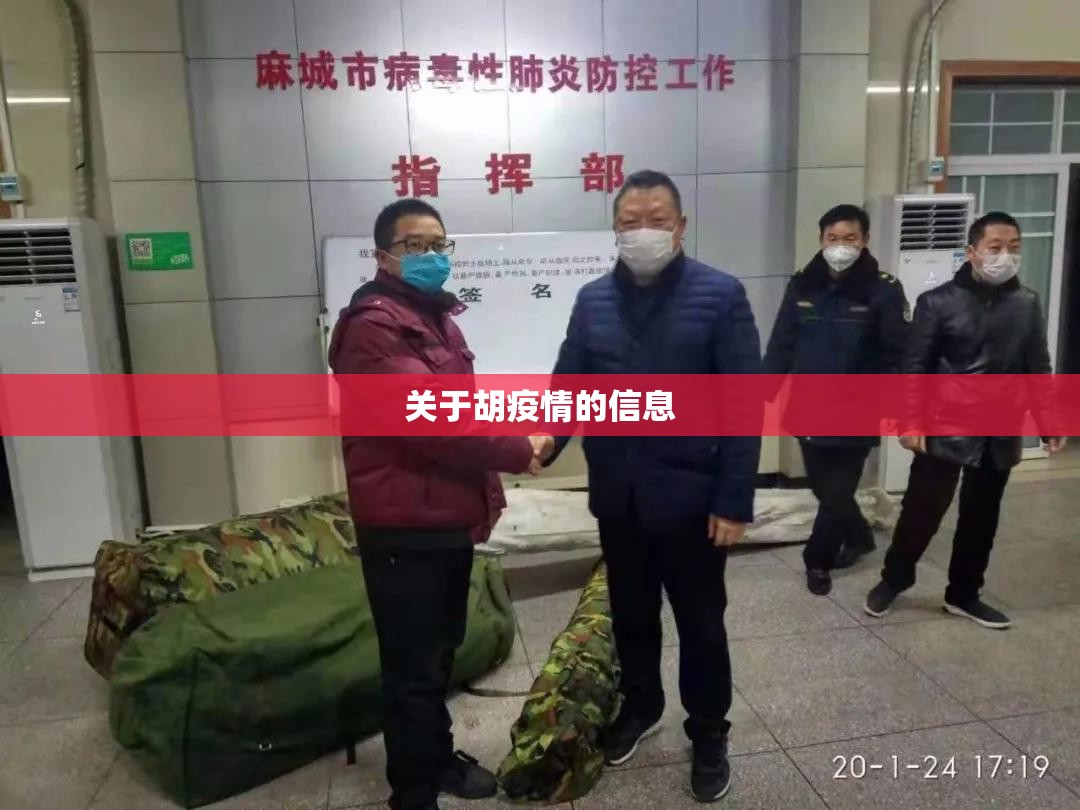 关于胡疫情的信息 关于胡疫情的信息