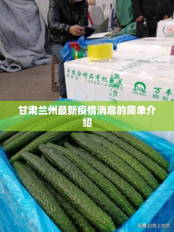 甘肃兰州最新疫情消息的简单介绍