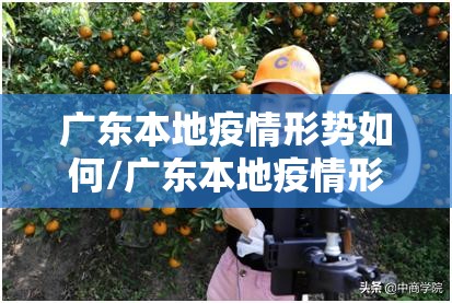 广东本地疫情形势如何/广东本地疫情形势如何1 广东本地疫情形势如何/广东本地疫情形势如何1