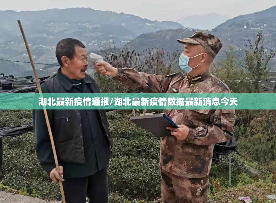 湖北最新疫情通报/湖北最新疫情数据最新消息今天 湖北最新疫情通报/湖北最新疫情数据最新消息今天