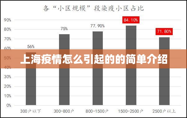 上海疫情怎么引起的的简单介绍 上海疫情怎么引起的的简单介绍