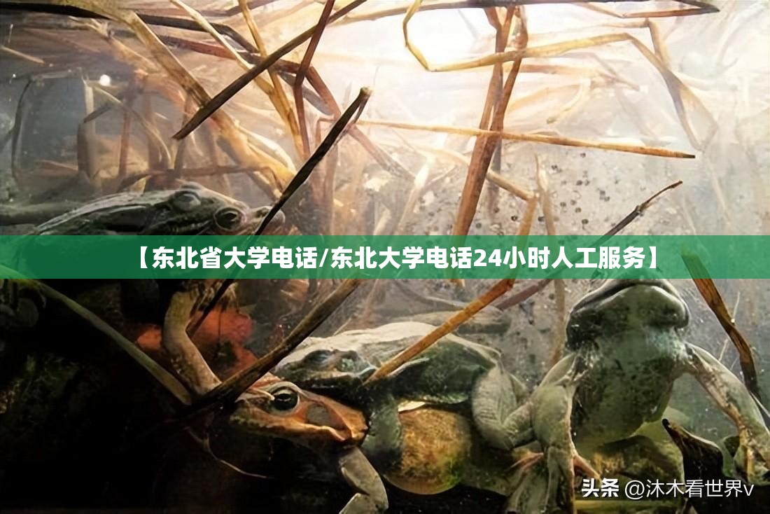 【东北省大学电话/东北大学电话24小时人工服务】 【东北省大学电话/东北大学电话24小时人工服务】