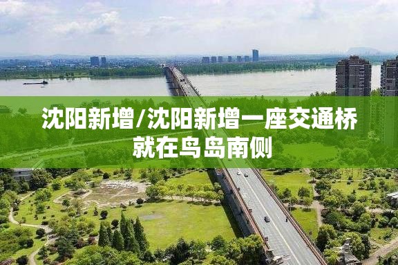 沈阳新增/沈阳新增一座交通桥 就在鸟岛南侧 沈阳新增/沈阳新增一座交通桥 就在鸟岛南侧