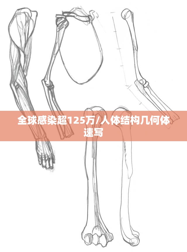 全球感染超125万/人体结构几何体速写 全球感染超125万/人体结构几何体速写