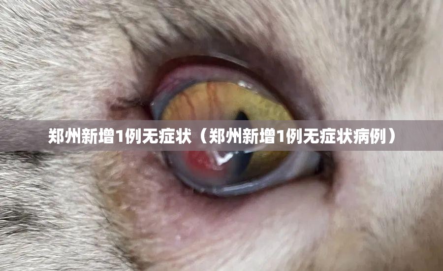 郑州新增1例无症状（郑州新增1例无症状病例）