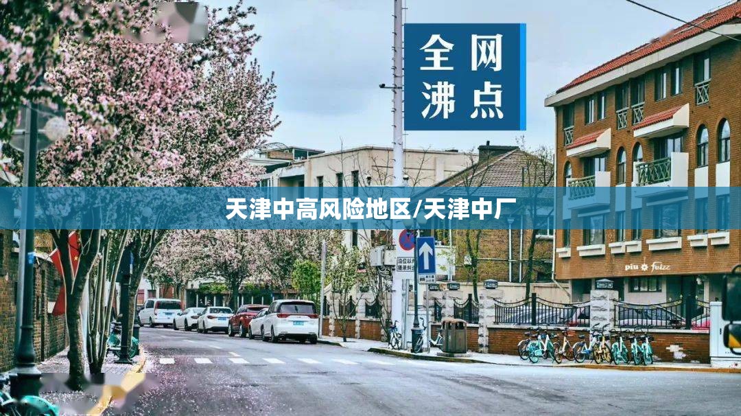天津中高风险地区/天津中厂
