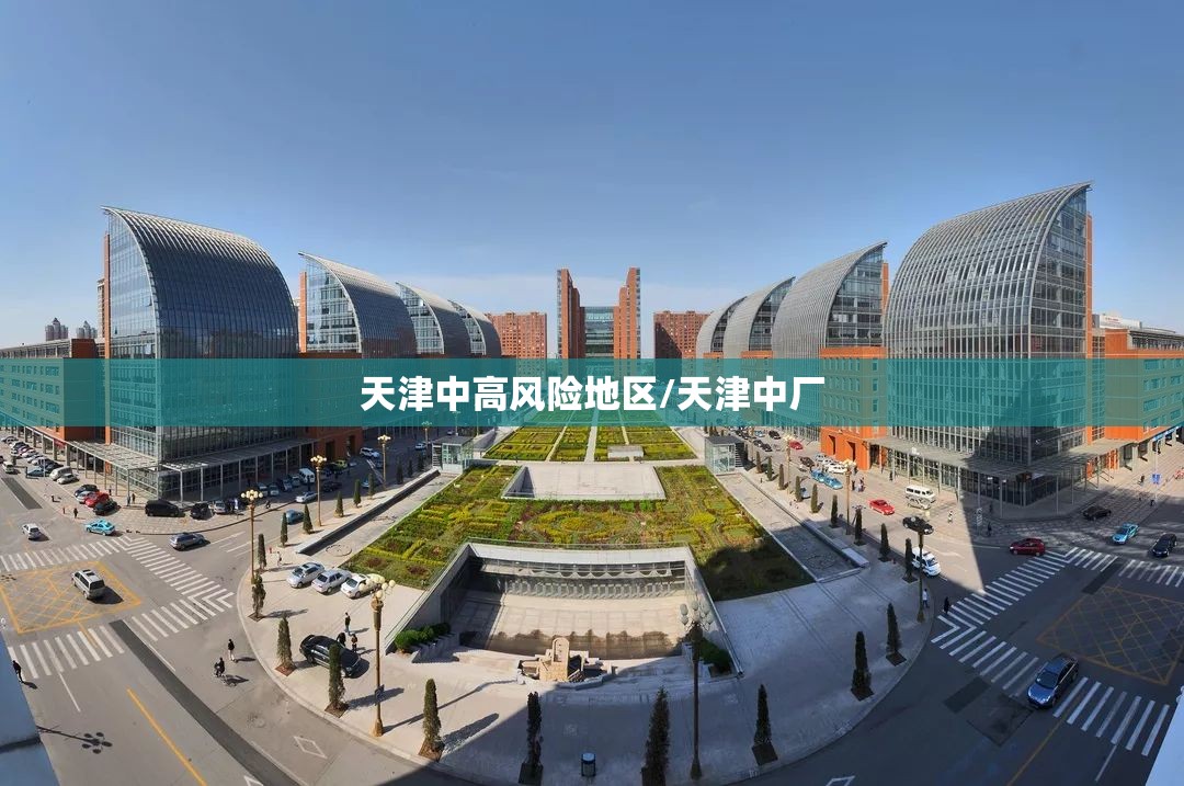 天津中高风险地区/天津中厂