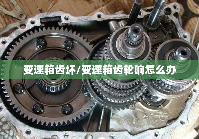 变速箱齿坏/变速箱齿轮响怎么办 变速箱齿坏/变速箱齿轮响怎么办