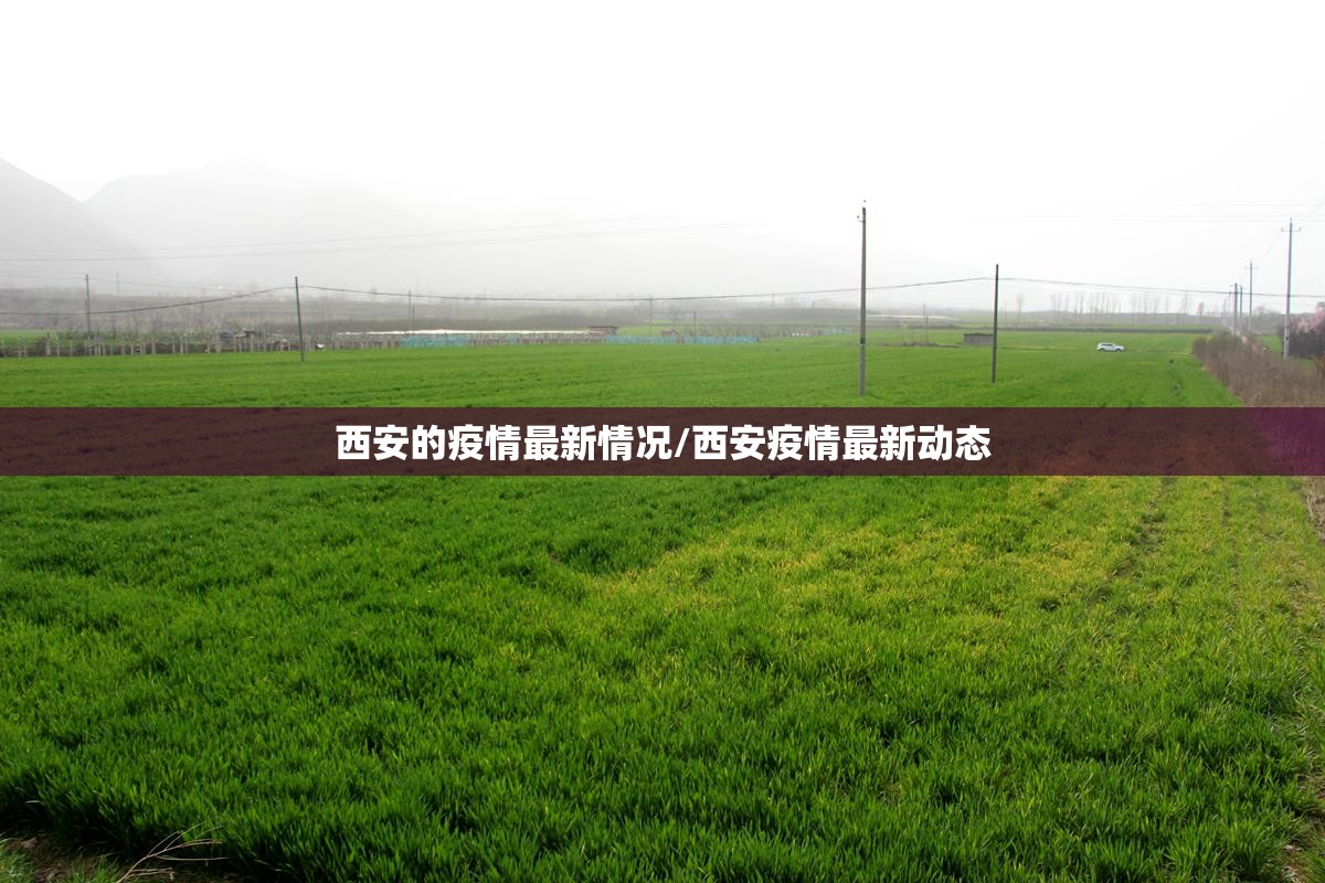 西安的疫情最新情况/西安疫情最新动态 西安的疫情最新情况/西安疫情最新动态