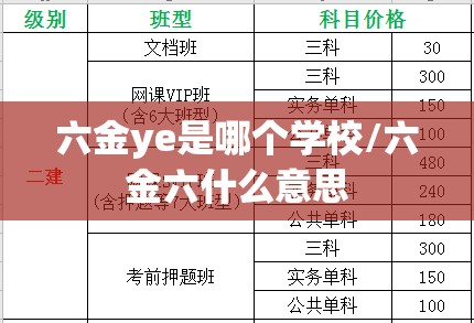 六金ye是哪个学校/六金六什么意思 六金ye是哪个学校/六金六什么意思