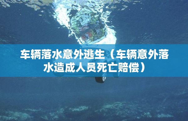 车辆落水意外逃生（车辆意外落水造成人员死亡赔偿）
