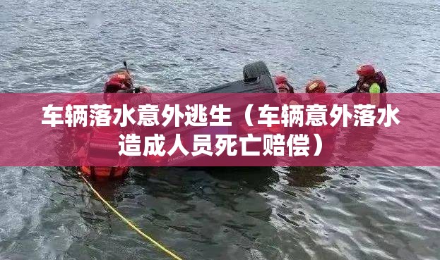 车辆落水意外逃生（车辆意外落水造成人员死亡赔偿）