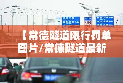 【常德隧道限行罚单图片/常德隧道最新消息】 【常德隧道限行罚单图片/常德隧道最新消息】
