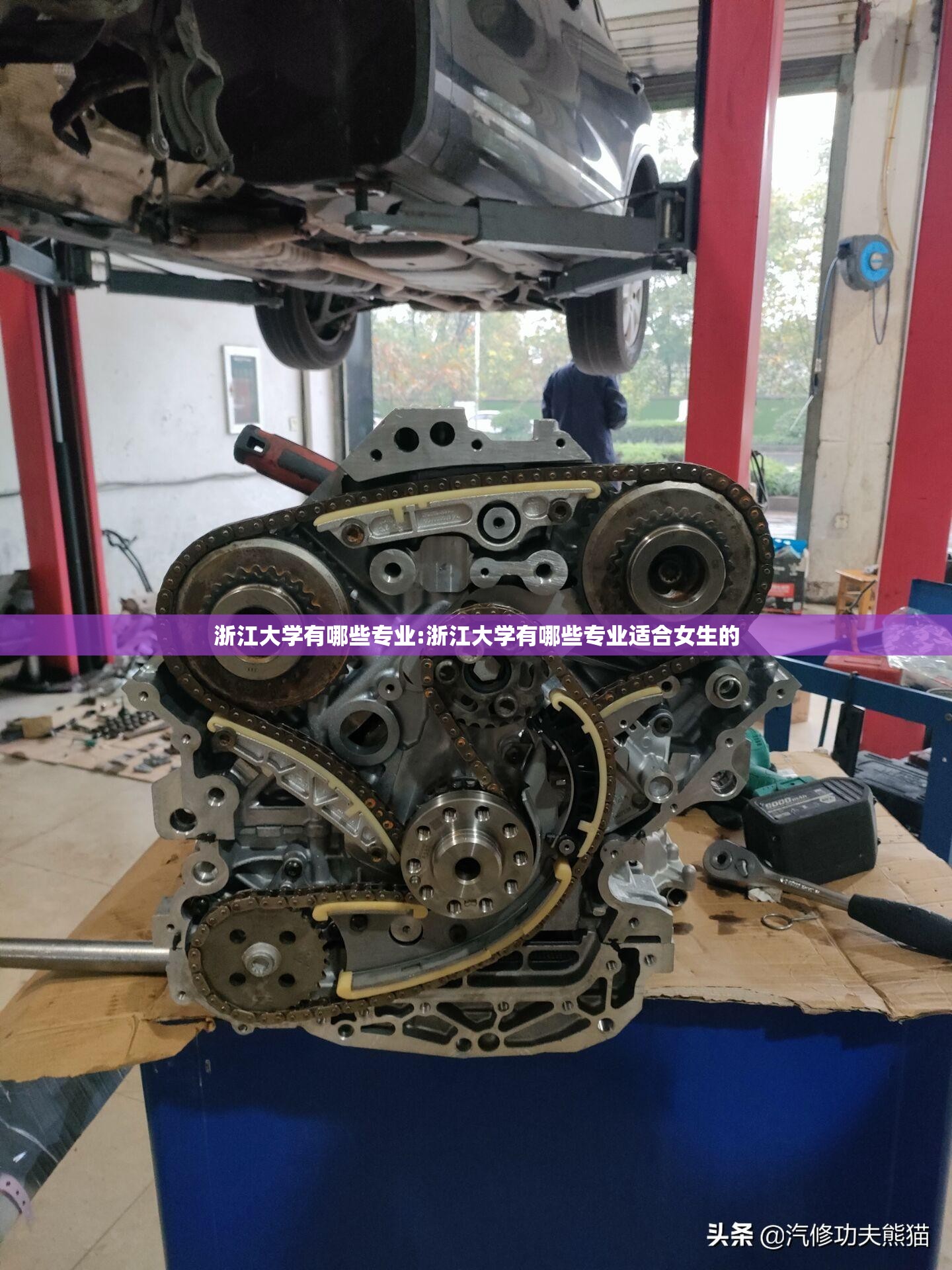 浙江大学有哪些专业:浙江大学有哪些专业适合女生的 浙江大学有哪些专业:浙江大学有哪些专业适合女生的