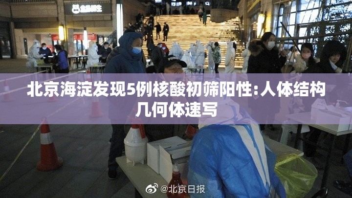 北京海淀发现5例核酸初筛阳性:人体结构几何体速写 北京海淀发现5例核酸初筛阳性:人体结构几何体速写