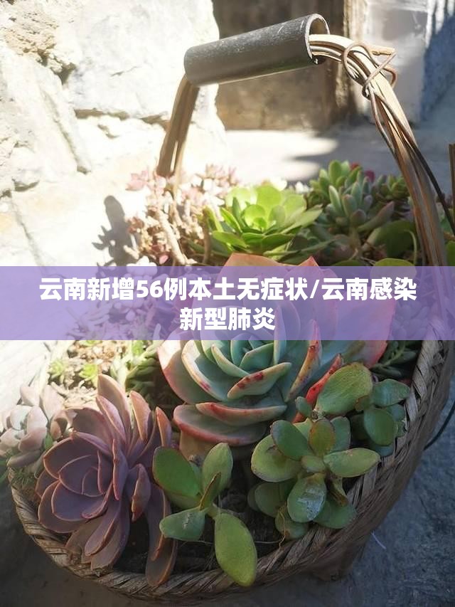 云南新增56例本土无症状/云南感染新型肺炎