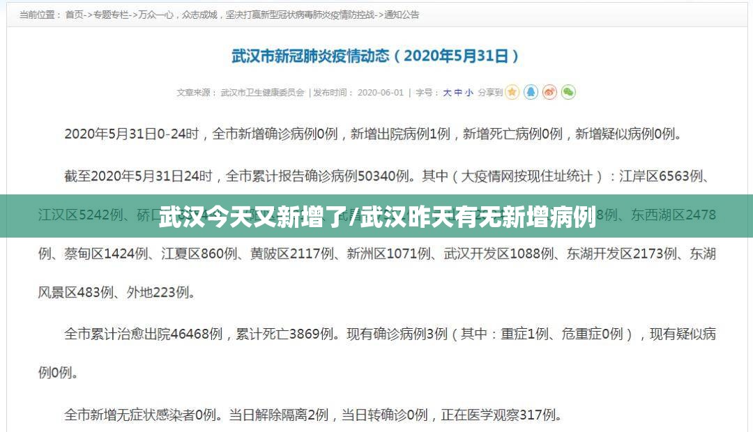 武汉今天又新增了/武汉昨天有无新增病例