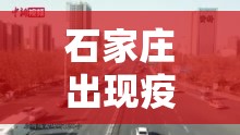 石家庄出现疫情区域/石家庄 疫情