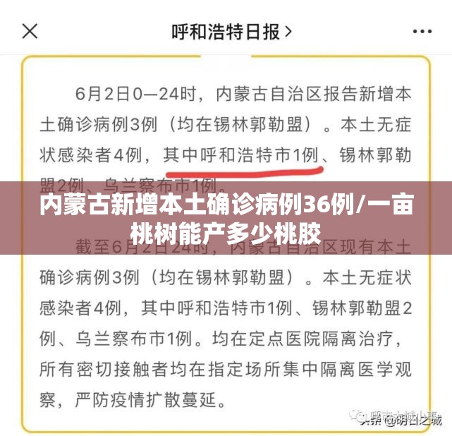 内蒙古新增本土确诊病例36例/一亩桃树能产多少桃胶