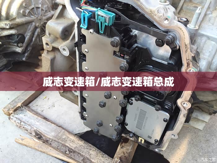 威志变速箱/威志变速箱总成 威志变速箱/威志变速箱总成