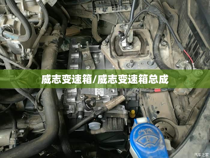 威志变速箱/威志变速箱总成 威志变速箱/威志变速箱总成