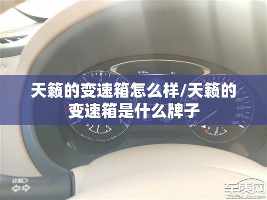 天籁的变速箱怎么样/天籁的变速箱是什么牌子 天籁的变速箱怎么样/天籁的变速箱是什么牌子
