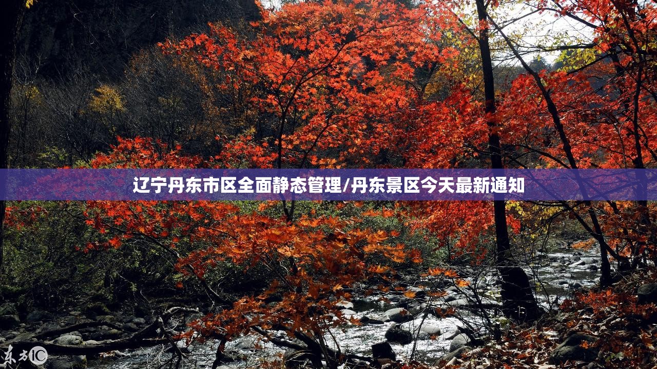辽宁丹东市区全面静态管理/丹东景区今天最新通知 辽宁丹东市区全面静态管理/丹东景区今天最新通知