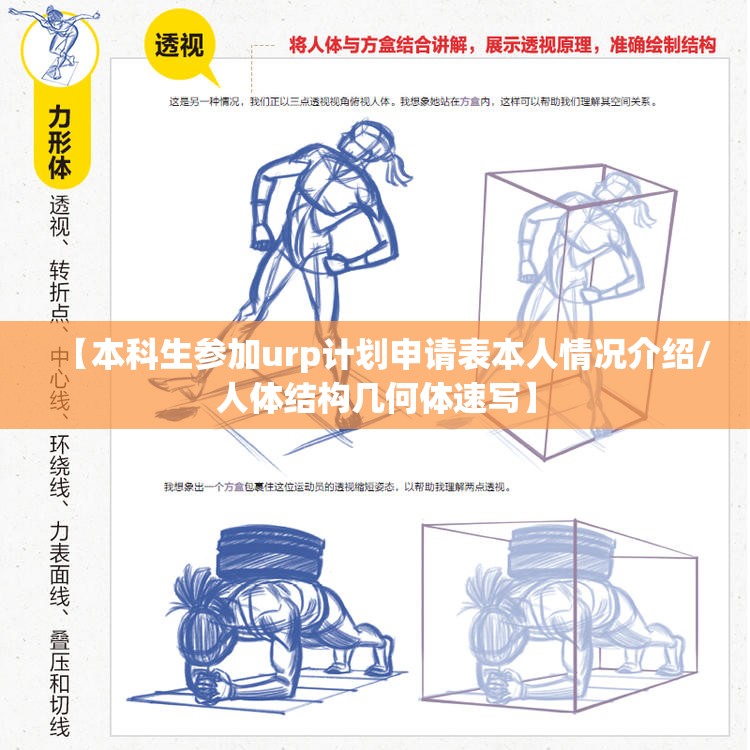 【本科生参加urp计划申请表本人情况介绍/人体结构几何体速写】 【本科生参加urp计划申请表本人情况介绍/人体结构几何体速写】