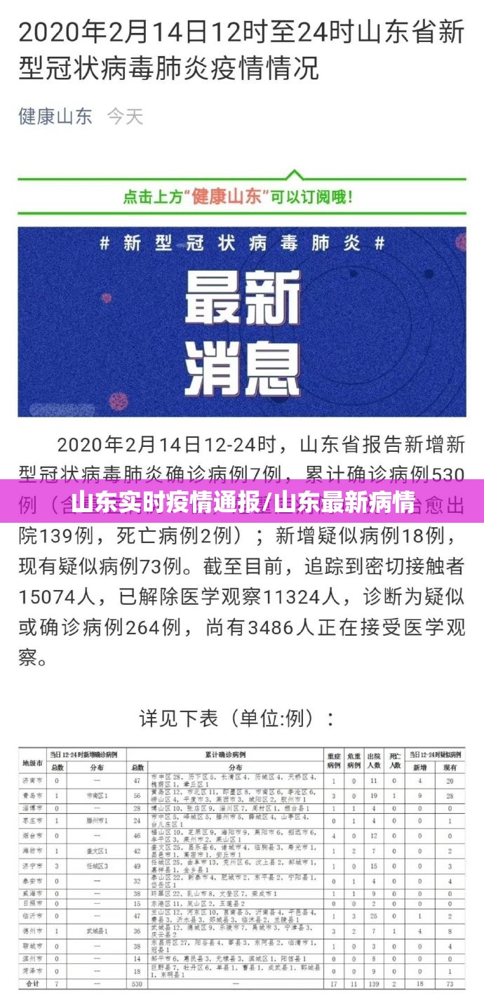山东实时疫情通报/山东最新病情