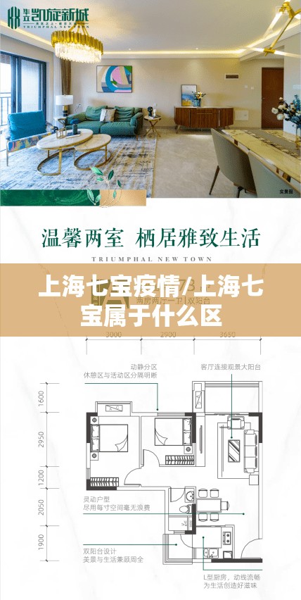 上海七宝疫情/上海七宝属于什么区 上海七宝疫情/上海七宝属于什么区
