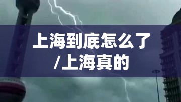 上海到底怎么了/上海真的 上海到底怎么了/上海真的